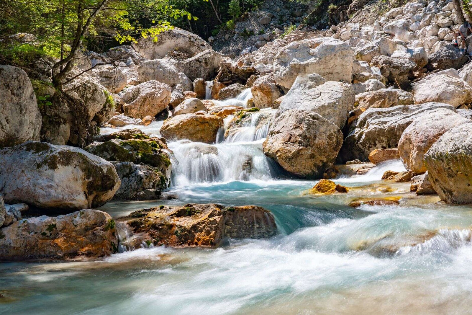 Mountain freshwater stream used for biomonitoring in the Caribbean